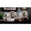 Animals Figurines & Sculptures