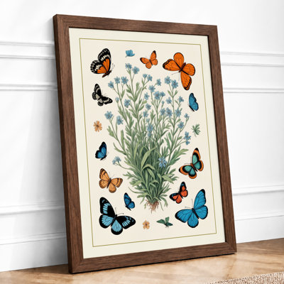 Botanicals With Butterflies Botanical - Print
