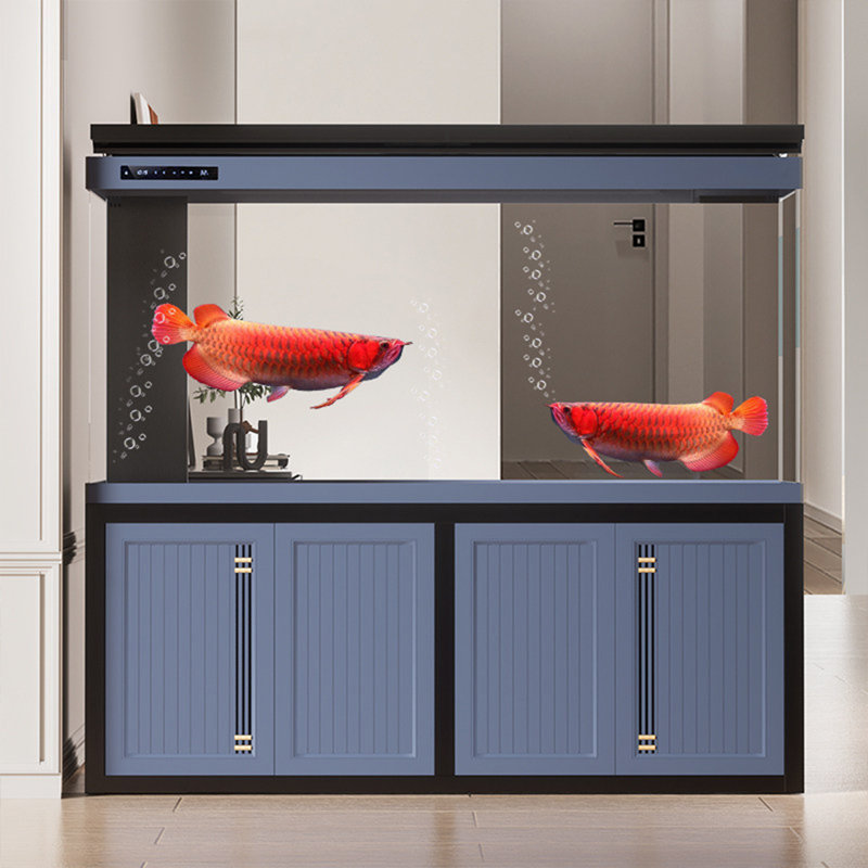 Grand aquarium 70,87 "bleu