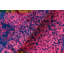 Evandale Wool Oriental Rug