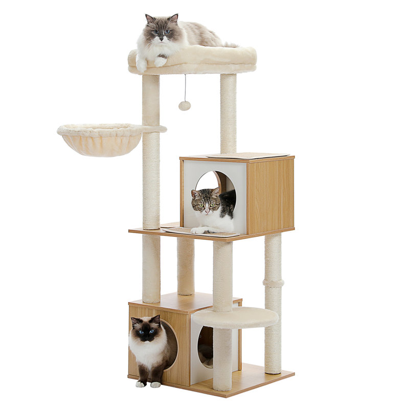 Arbre à chat