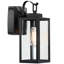 Schlesinger Matte Black 34.9cm H Outdoor Wall Lantern