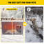  Niche pour chien en bois-1137455309