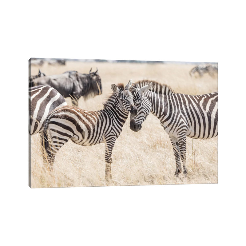 Africa, Kenya, Maasai Mara National Reserve Adult And Juvenile Zebras by Jaynes Gallery - Wrapped Canvas Print