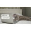Keagan 138cm H Cat Tree-23691495