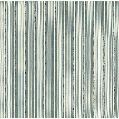 Schumacher x David Oliver Moncorvo Fabric