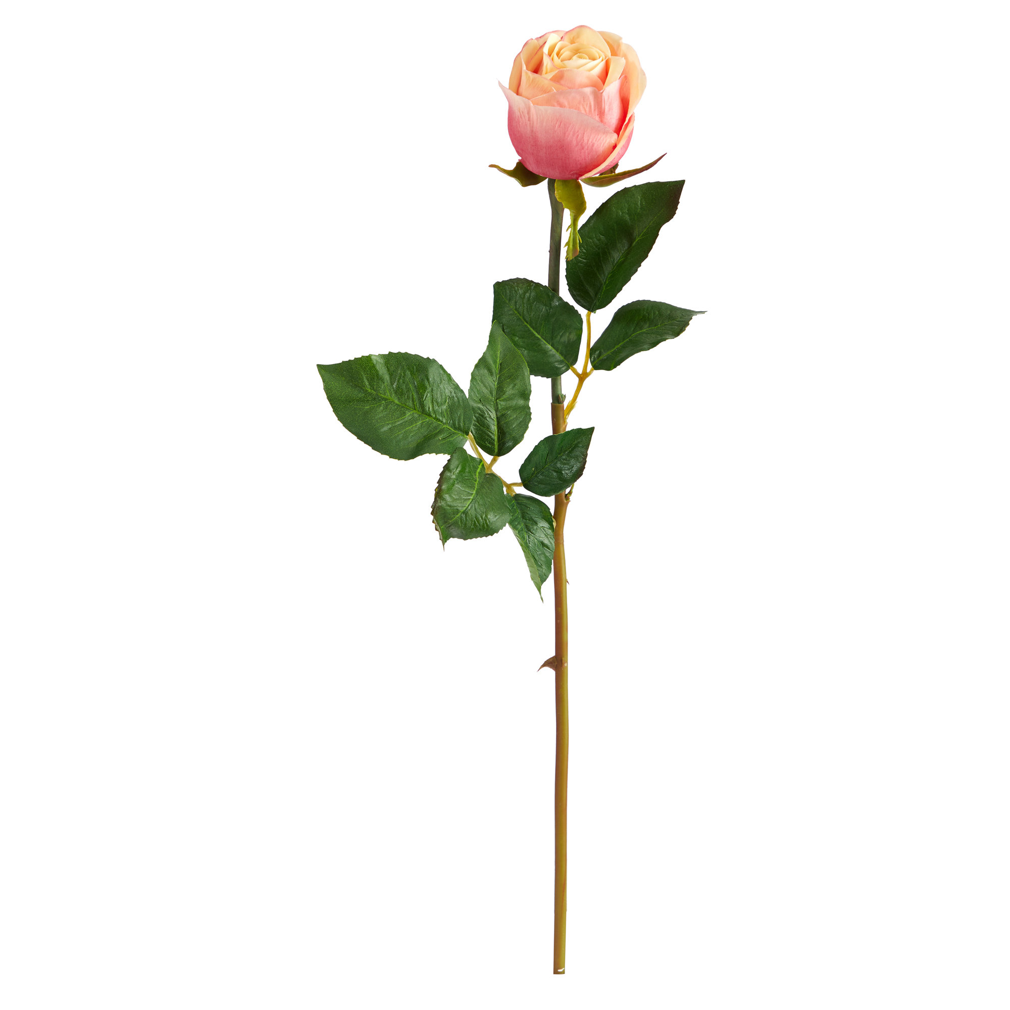 Roses Stem (Set of 6) Primrue Size: 21 H x 3 W x 3 D, Flowers Color: Salmon