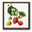 "Strawberry Study I", reproduction d’art encadrée-1621515351-1620639816-1620639819