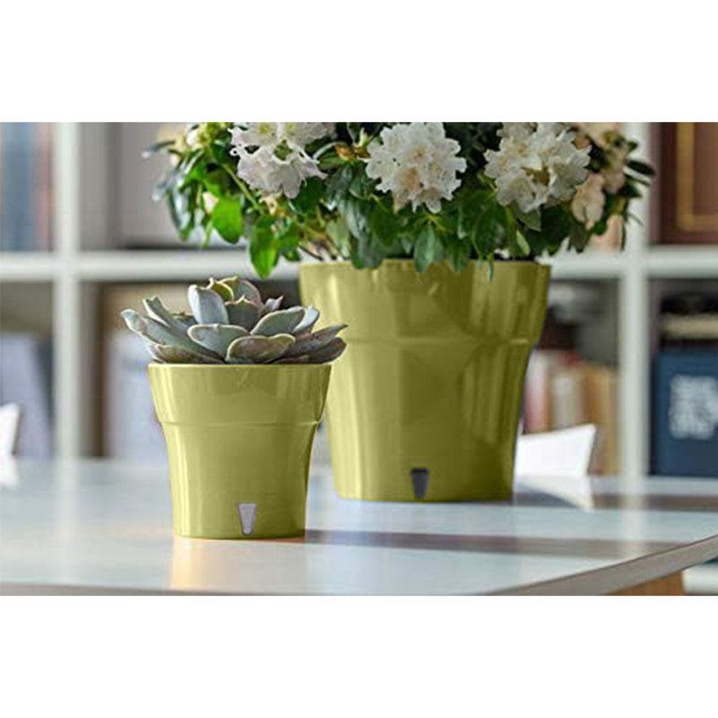 Lilabai Pot Planter, Green/White, 5" H x 5.3" W x 5.3" D