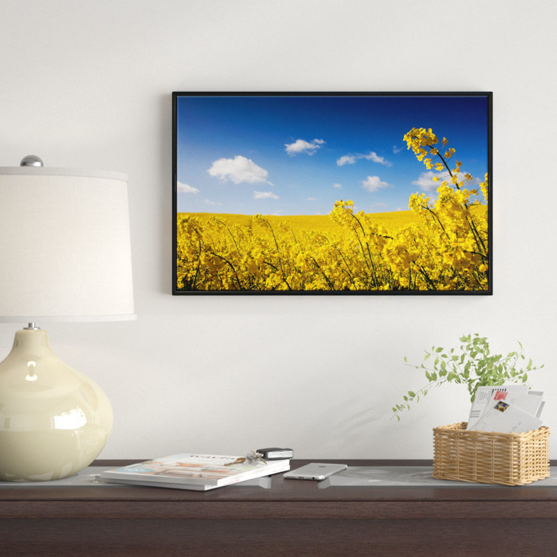 «Yellow Canola Field» - reproduction de photo sur toile tendue, H 20 po x l 20 po x P 1 po