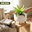 Pot Planter