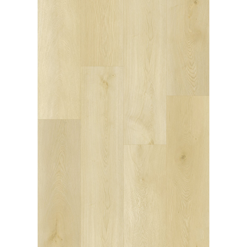 Planches de vinyle imperméables Ecostyle l 60 po x 9 po SPC 8,0 mm d'épaisseur, plancher flottant à verrouillage par clic, grain de bois, résistant aux égratignures pour la maison