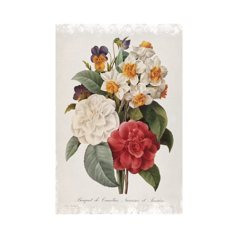 Botanical Bouquet Camelias by Carol Robinson - Print on Canvas, 20.32 cm H x 30.48 cm W, Wrapped Canvas