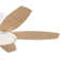 Low Profile 42" 5 - Blade Flush Mount Small Room Ceiling Fan with LED Light and Remote