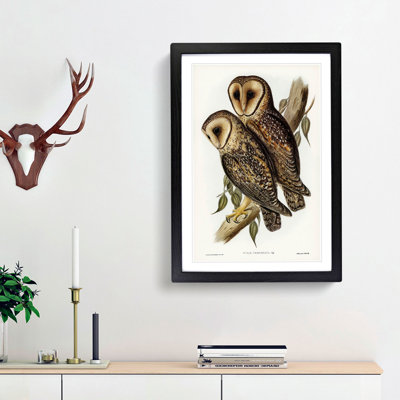 Masked Barn Owls by Elizabeth Gould - Framed Print