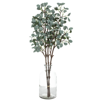 Jet d'eucalyptus