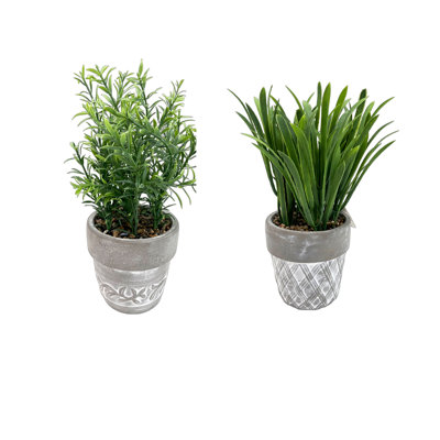 Ceramic Arrangement in Pot