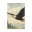 Aaroon Single Picture Frame Print on Canvas-59656004