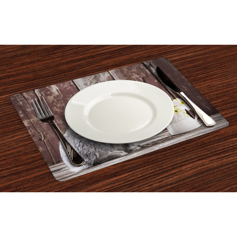 Récapitulatif 18,5" lapin