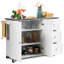 Lalma Bar Cart