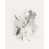 Image Brush Gel selected