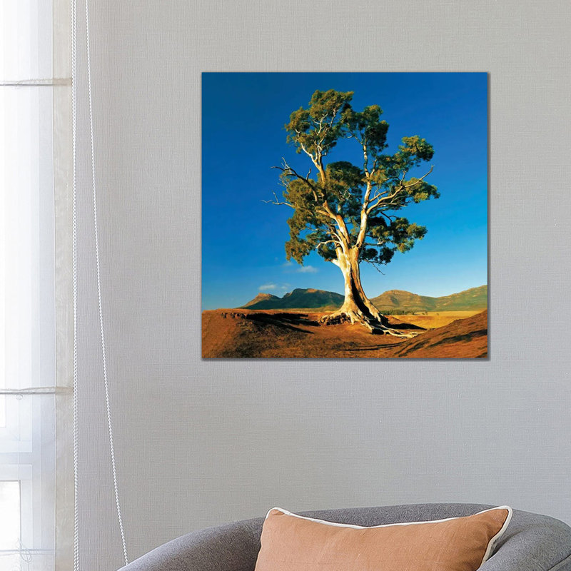 Chiweenie On Violet by Robert Phelps - Wrapped Canvas Gallery-Wrapped Canvas Giclée, Wrapped Canvas