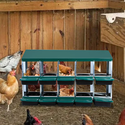 Boîte de nidification pour poulets, boîtes de nid de poule à 2 couches à 10 trous, boîtes de ponte pour œufs roulants, boîtes de perchoir escamotables pouvant être nettoyées