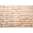 Tangier Cream Rug 7'10" x 10'1"