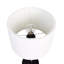 Siyona Metal Table Lamp-1023272466