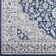 Swaney Oriental Indoor Rug