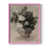 Pink selected
