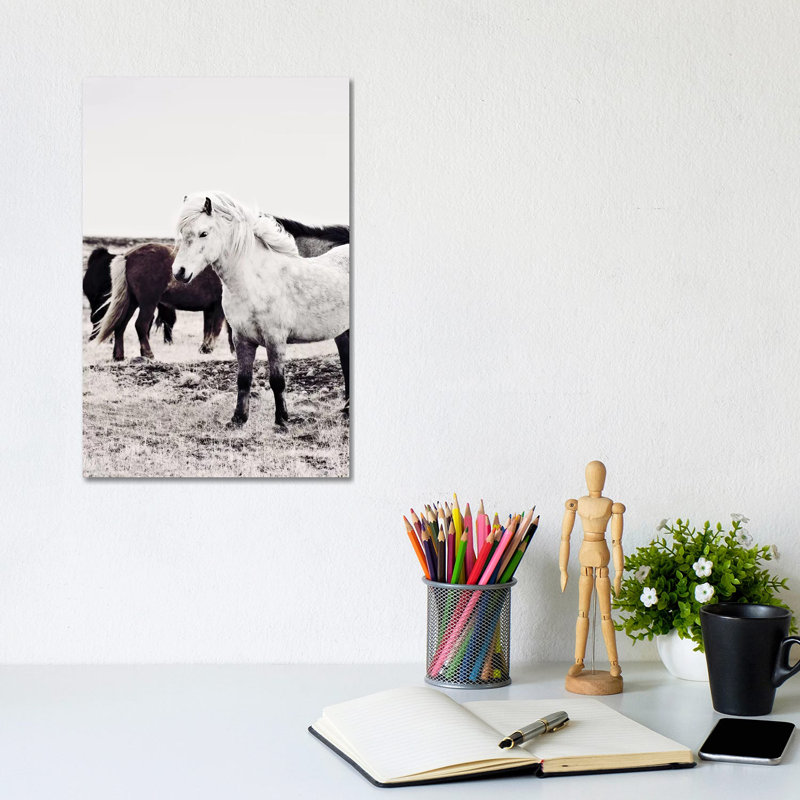 Iceland Horse Bjarmi by Monika Strigel - Wrapped Canvas Print, 20.32 cm H x 30.48 cm W