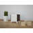 White/Chestnut