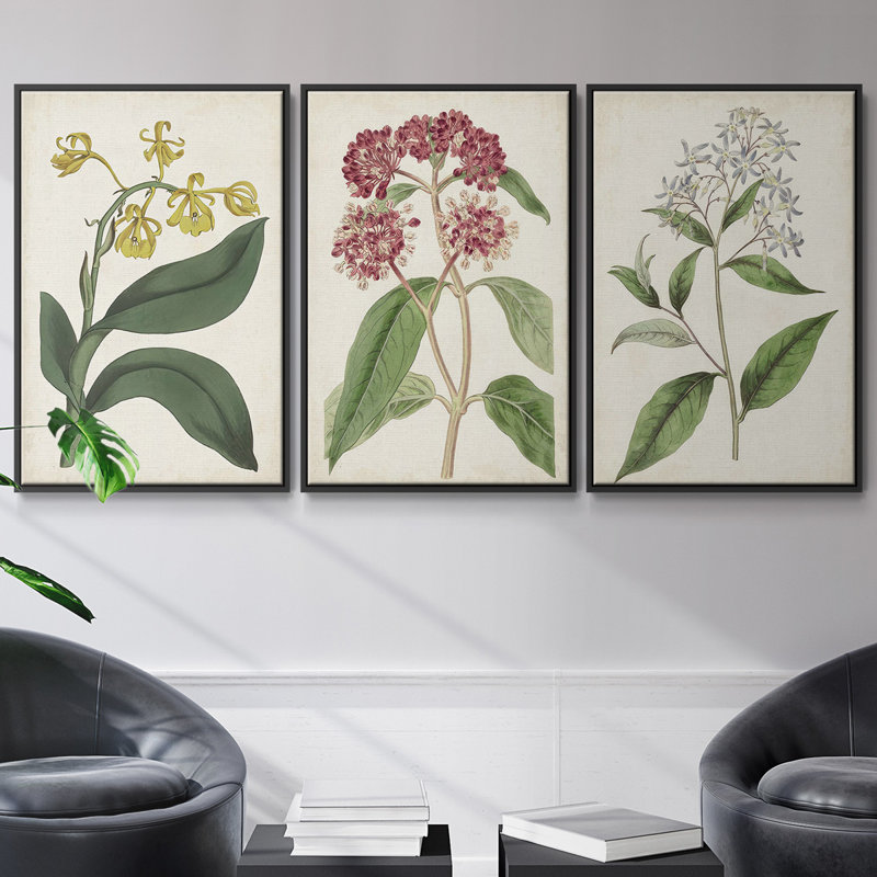 Ensemble de 3 pièces encadrées sur toile Antique Botanical Collection VI, Noir, H 27 po x l 54 po