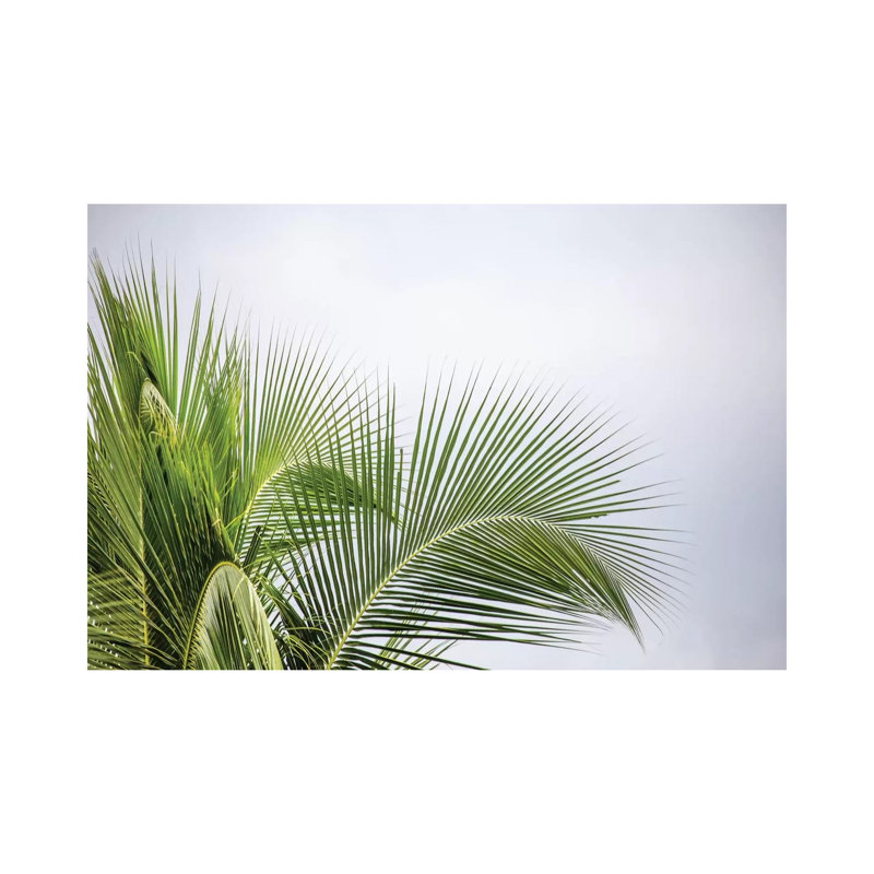Palmier par Mark Paulda - impression sur toile tendue, H 8 po x l 12 po x P 0,75 po