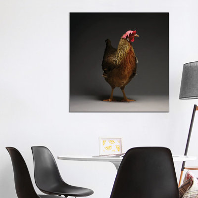 Leghorn - Wrapped Canvas Print