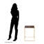 Adaleah Frame End Table
