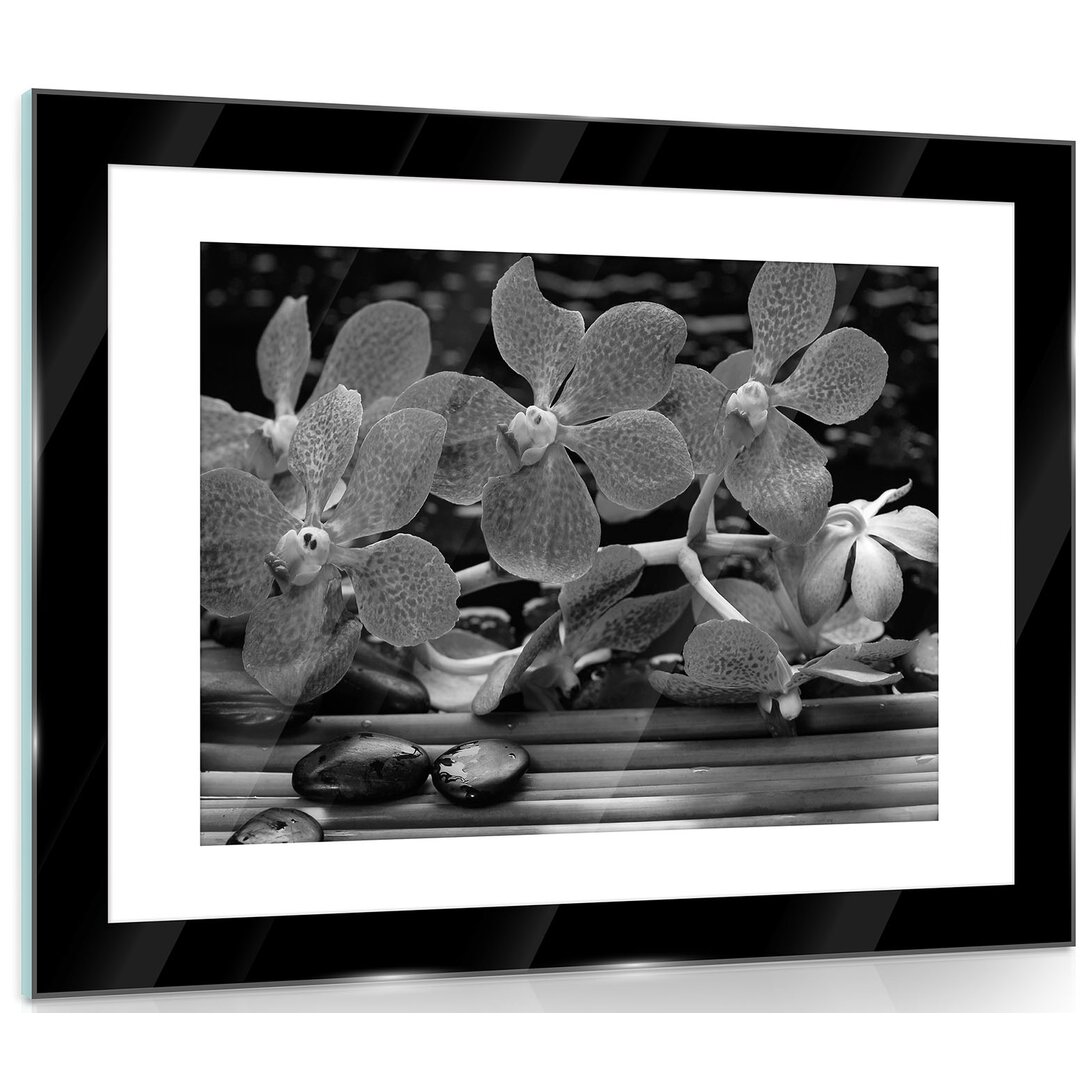 Glasbild Blumen in Schwarz/Weiß/Grau