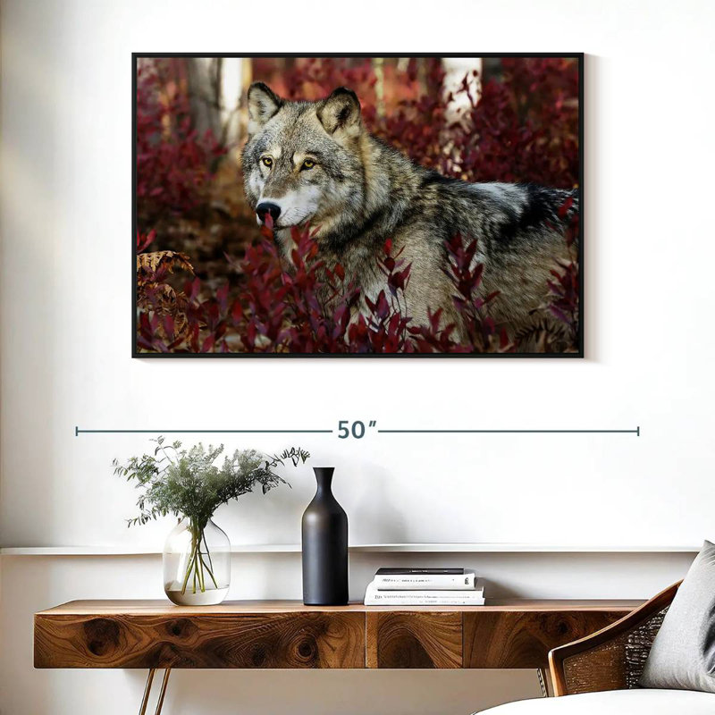 Hiding Timber Wolf, Floating Frame Black, 40" X 27"