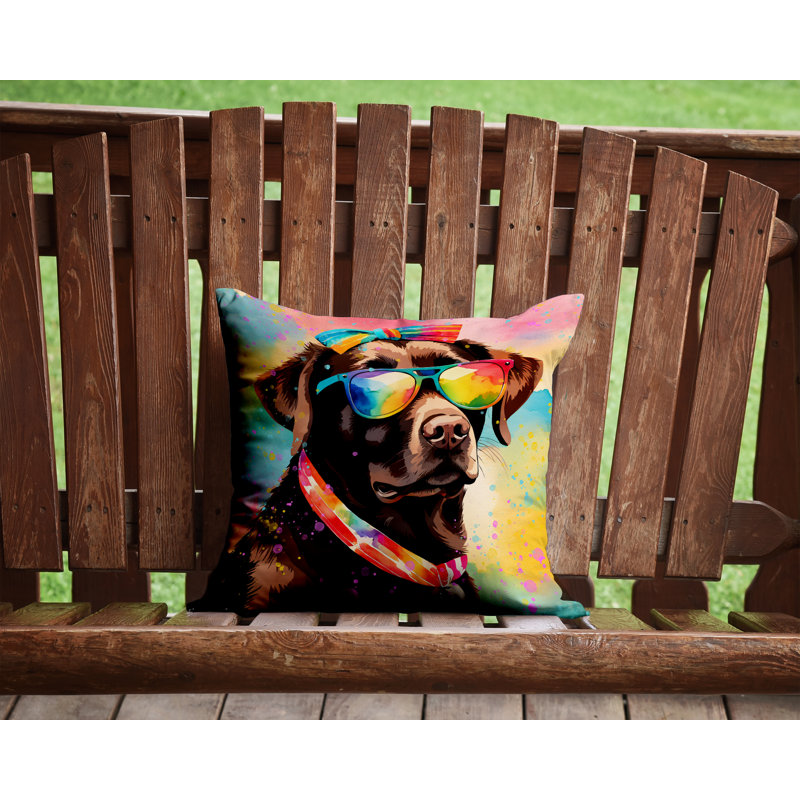  Coussin décoratif Autre / Sans motif, 14 po x 14 po