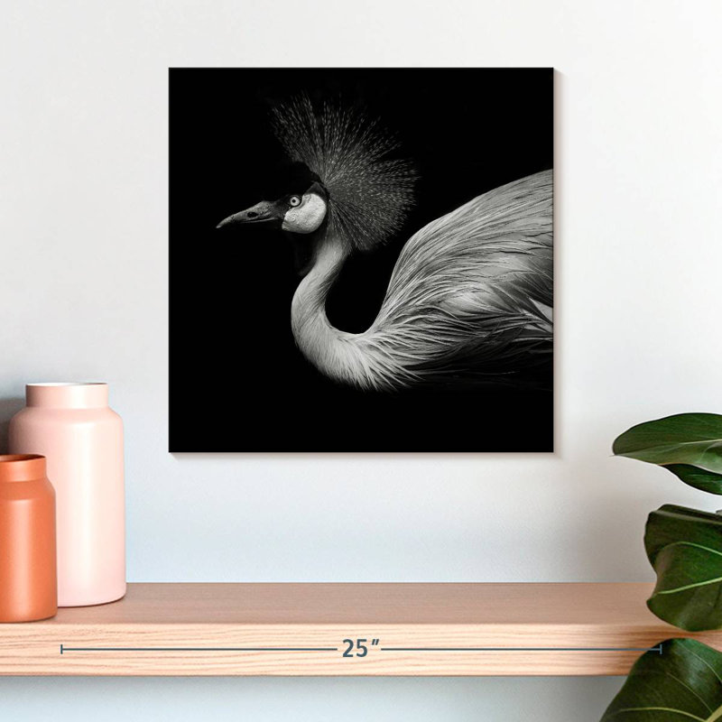 Brampt Black And White Crane