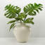 Table Vase