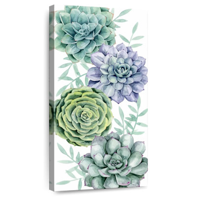 Collection Succulent Swatch B