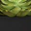 Herbe artificielle Lomba-1590702645