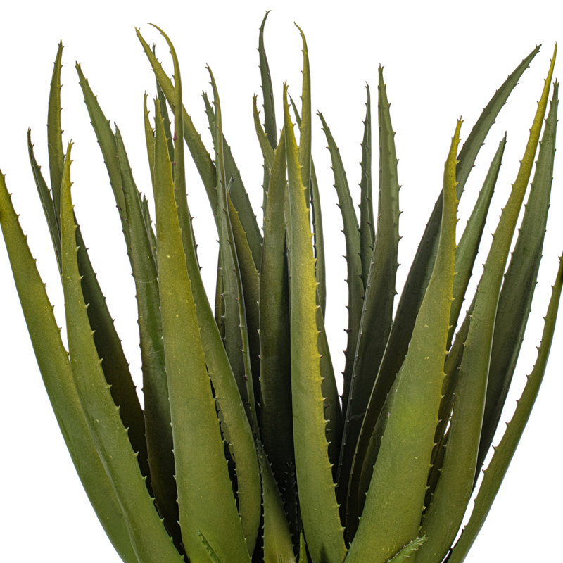 19.5'' Faux Succulent in Pot