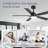 Selvidge 52'' Ceiling Fan with LED Lights and Remote, 6 Speed Quiet Reversible DC Motor, 5 Plywood Blades, 5''/10'' Downrods,Timer-139012768