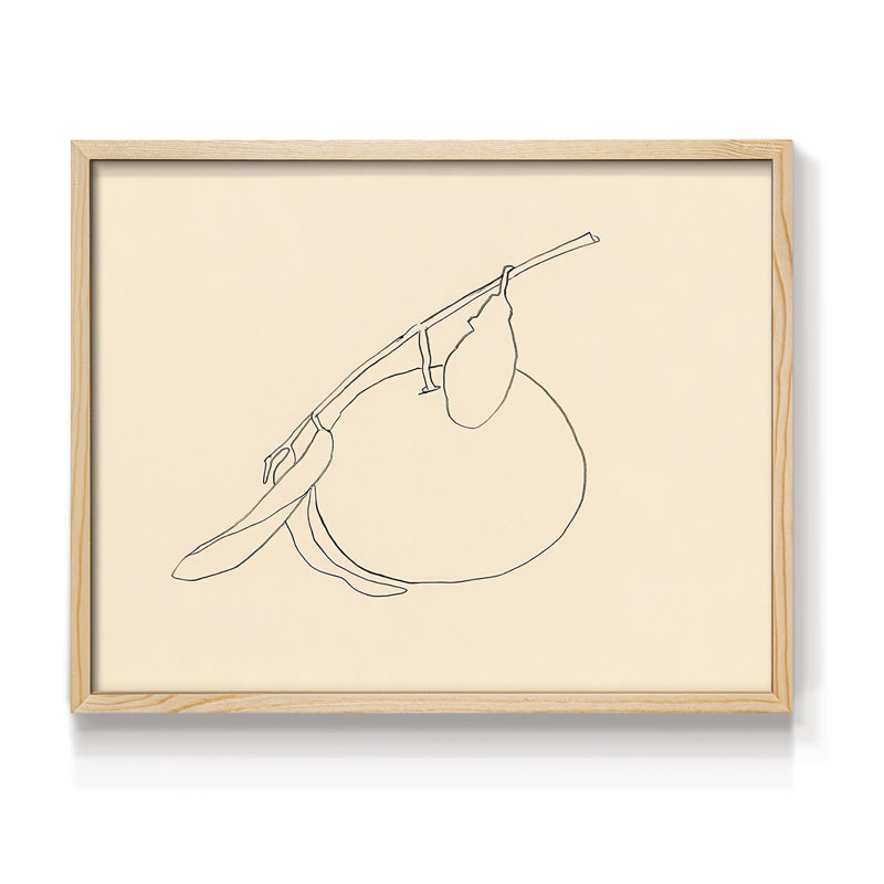 «Citrus Contour II», reproduction encadrée, Naturel, H 16 po x l 20 po