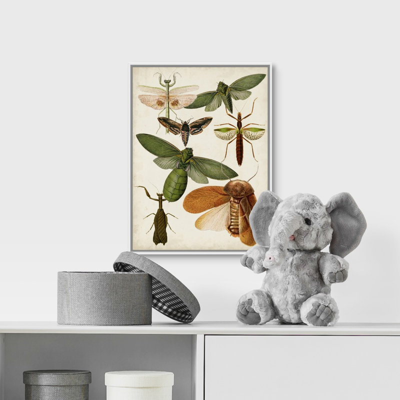 « flying bugs kids », art encadré, Cadre pour toile flottant blanc, H 36 po x l 12 po x P 1,2 po