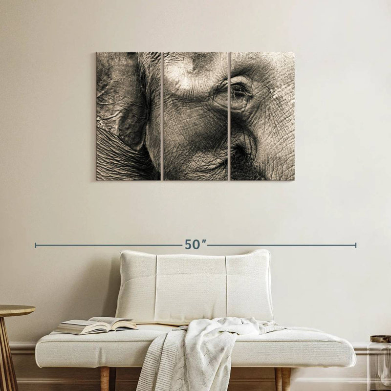 Brampt Wrinkled Elephant Face, 24" H x 38" W