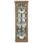Delia Solid Wood Lighted Curio Cabinet-1383058752